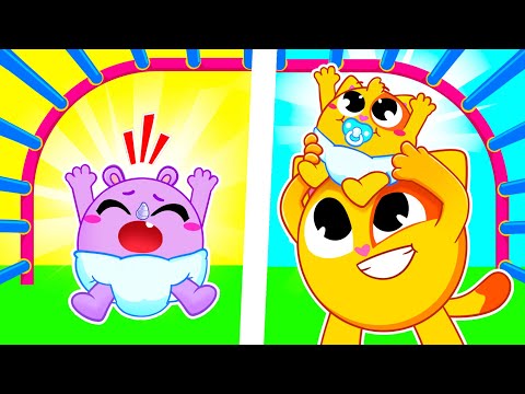 Little Brother Song | Funny Songs For Baby &amp; Nursery Rhymes by Toddler Zoo