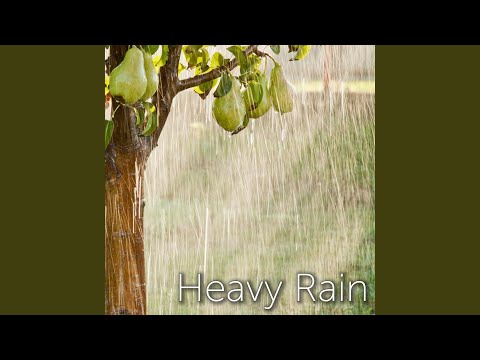 Heavy Rain