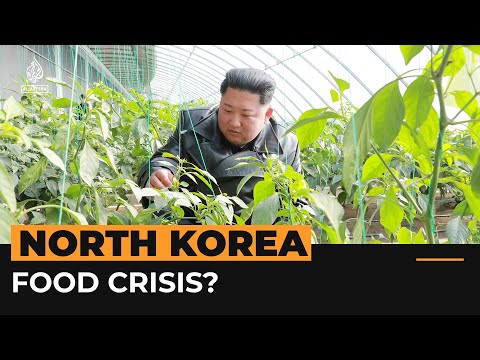 What we know about North Korea&rsquo;s food shortages | Al Jazeera Newsfeed