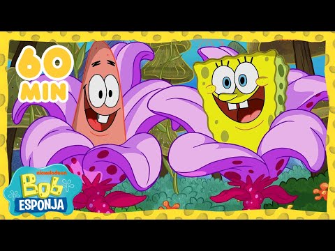 Bob Esponja | &iexcl;60 minutos de los NUEVOS MEJORES momentos de Bob Esponja! | Bob Esponja en Espa&ntilde;ol