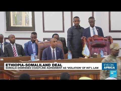 Somalia condemns Ethiopia-Somaliland coastline deal &bull; FRANCE 24 English