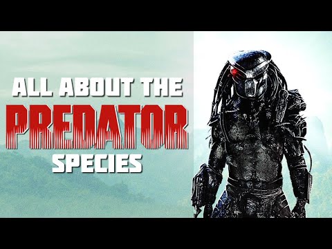 The Predator Species Complete Biology and Culture Explained