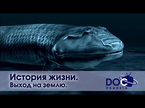 История жизни - Часть 3.Выход на землю  - Документальный фильм