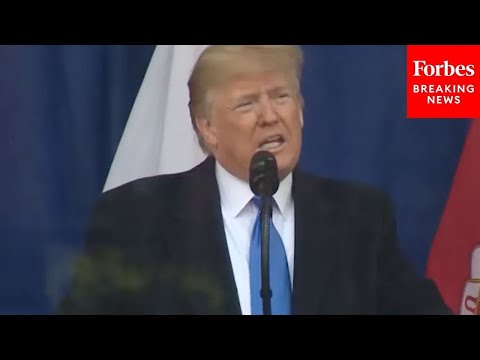 FLASHBACK: President Trump Delivers Veterans Day Address In 2019