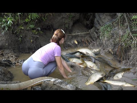 Top Video Fishing : Fishing Technology, Unique Fishing, Survival Fishing - Harvesting Many Big Fish