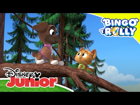 Bingo y Rolly: &iexcl;Misi&oacute;n diversi&oacute;n! | Disney Junior Oficial