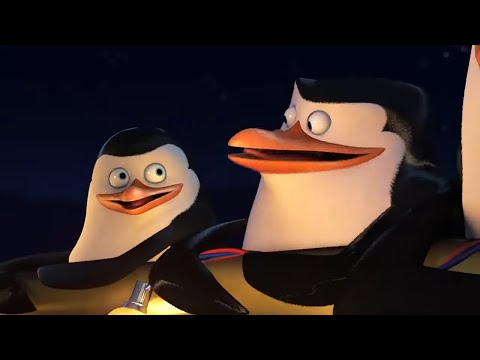 DreamWorks Madagascar | Our World Got A little Bit Cuter | Penguins of Madagascar Clip