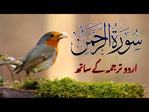 Surah Rahman with Urdu Translation Full | Qari Al Sheikh Abdul Basit Abdul Samad | Tarjuma ke Sath