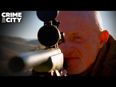 Gus Sabotages Mike's Shot | Better Call Saul (Jonathan Banks)