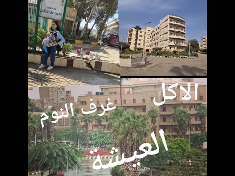 معلومات عن المدينة الجامعية بجامعة القاهرة Cairo University