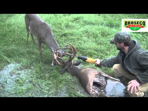 Broseco Ranch Locked Up Bucks