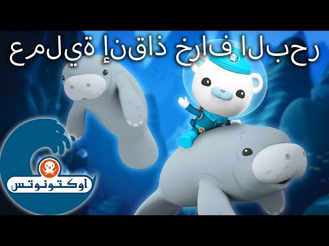 أوكتونوتس | 🛟 عملية إنقاذ خراف البحر ⛑️ | حلقات مجمعة