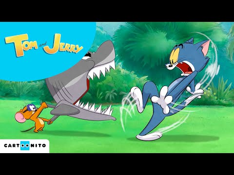 Tom e Jerry | Pesca perigosa  | 