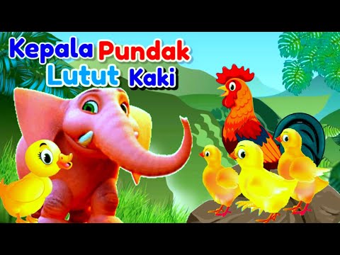Lagu Anak 🇲🇨 Kepala Pundak Lutut Kaki !! Animasi Ayam Bebek Gajah Dan Kucing