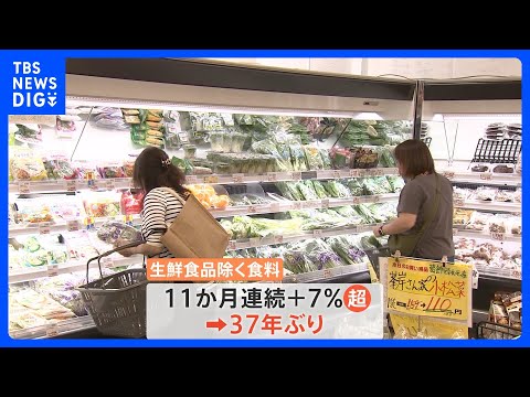 10月の消費者物価指数は2.9％上昇　37年ぶりの食品高で「消費の動向」と「企業の戦略」に&amp;ldquo;異変&amp;rdquo;｜TBS&amp;nbsp;NEWS&amp;nbsp;DIG