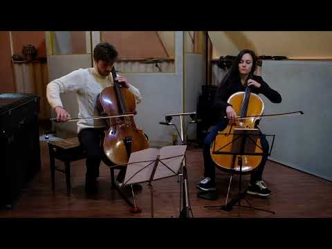 We Found Love - Rihanna (arranged for two cellos)