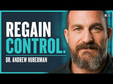 Master Your Mind &amp; Change Your Brain (4K) - Andrew Huberman | Modern Wisdom 496