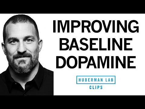 Improve Your Baseline Dopamine for Motivation &amp; Drive | Dr. Andrew Huberman