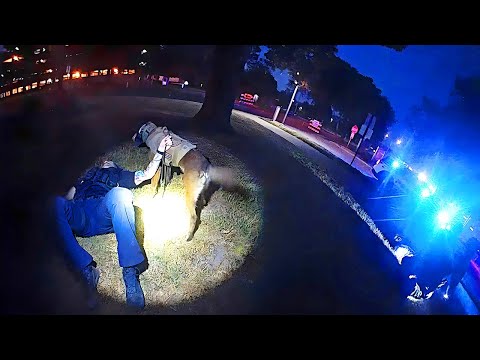 Officer Gets Crushed by Suspect&rsquo;s Vehicle During Intense Police Chase