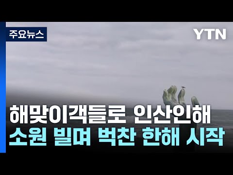 갑진년 해맞이 인파 '북적'...이 시각 호미곶 / YTN