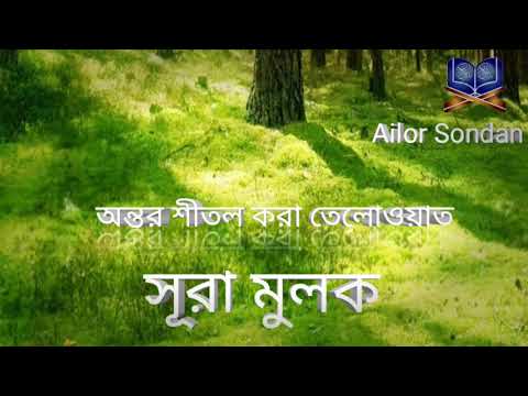 সূরা_ মুলক _অন্তর শীতল করা তেলোওয়াত  তাবারাকাল্লাযি বিয়া দিল আলা কুল্লি সাইন কাদির