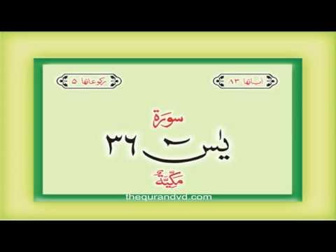 36. Surah Ya Sin  with audio Urdu Hindi translation Qari Syed Sadaqat Ali