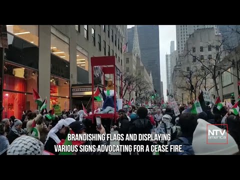 Pro-Palestinian protest in Manhattan leads to arrests