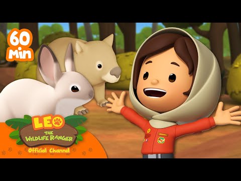 1 HOUR OF ANIMALS THAT LIVE IN BURROWS!! ⛏️🐇 | Leo the Wildlife Ranger | Kids Cartoons