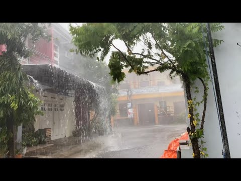 Gone wrong!!! Walking in the Wild Storm: A Thrilling Adventure Amidst Heavy Rain and Brutal Winds