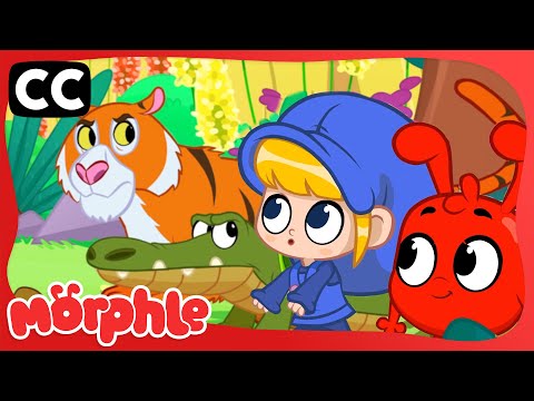 Scary Animal House | Mila &amp; Morphle Literacy | Cartoons with Subtitles