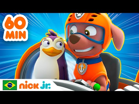 Patrulha Canina | 1 HORA dos melhores resgates animais! | Nick Jr. em Portugu&ecirc;s