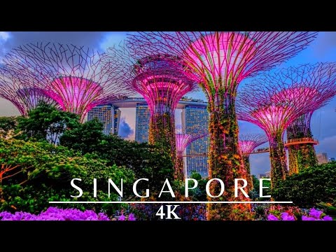 Singapore 4K Night 🇸🇬 Gardens By The Bay