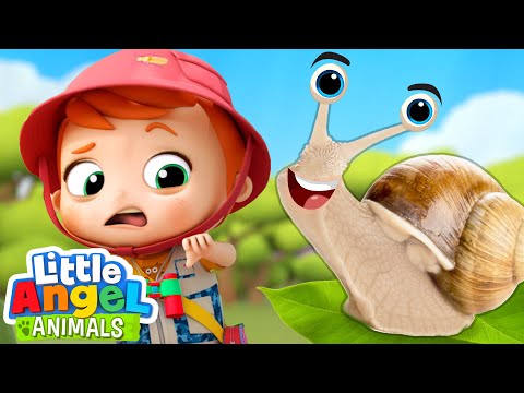 Yucky Bugs! | Fun Animal Sing Along Songs by 