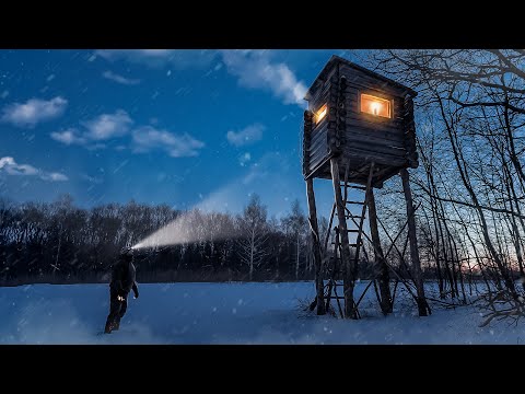 ESCAPE FROM WOLVES IN A TREE HUT | SINGLE OVERNIGHT