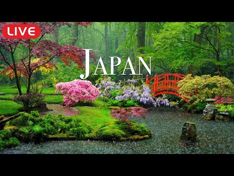 🔴 Relaxing Piano Music &ldquo;Dreams of Japan&rdquo; for Studying, Spa, Coffee, Work, Sleeping