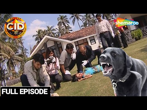 Unleashing Justice | CID Team On The Hunt For The Mysterious Killer Dog | CID | सीआईडी