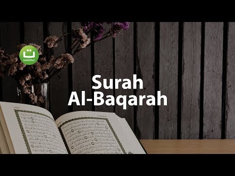 Juz 1 Surah Al Baqarah سورة البقرة - Abu Usamah ᴴᴰ