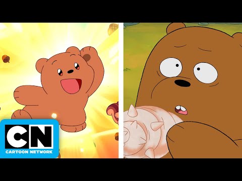 Save the Forest! 🌳 | We Bare Bears &amp; We Baby Bears | Cartoon Network