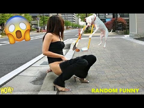 Random Funny Videos |Best Fails of the Week 2023 | Cute People And Animals Doing Funny Things P