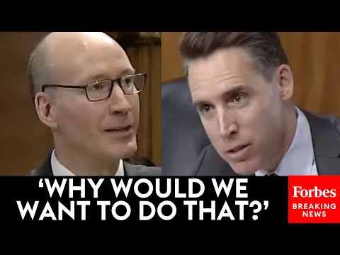 'Wait-Wait-Wait!': Josh Hawley Does Not Let Up On Biden Energy Official