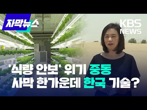 [자막뉴스] 중동, '식량 안보' 비상...사막에 우리 기술이 / KBS 2022.07.05