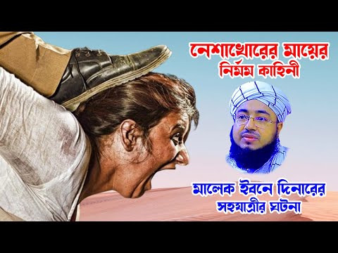 kamrul islam arefi | কামরুল ইসলাম আরেফি | bangla waz mahfil free download | মালেক দিনারের মুরিদ