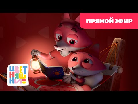 🥱🎶Цветняшки - Колыбельные: Папа рядом -  Прямой Эфир - Песенки для сна🎶🥱