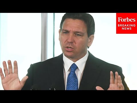 'Is That Really Something That Is In Our Best Interest?': DeSantis Slams Progressive School Lessons