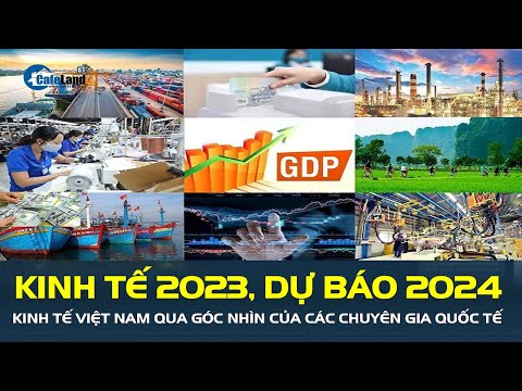 NH&Igrave;N LẠI kinh tế 2023, dự b&aacute;o 2024: Kinh tế Việt Nam qua g&oacute;c nh&igrave;n của chuy&ecirc;n gia quốc tế | CafeLand