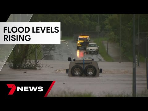 Logan and Albert Rivers expected to reach moderate flood level  | 7 News Australia