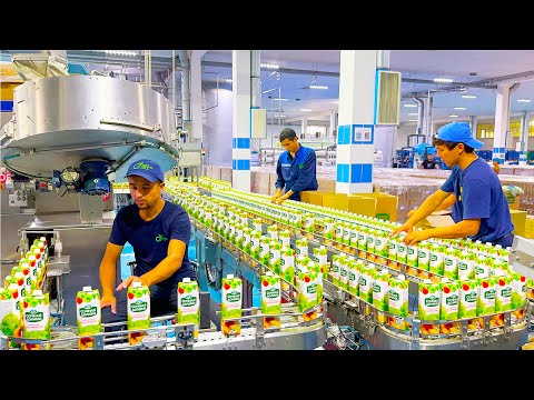 Juicy Dolina, one of the largest companies in Uzbekistan | 100 tons of juice are produced per day