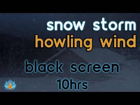 [Black Screen] Cabin in blizzard: Snow Storm and Howling Wind: Snowstorm Sounds for Sleeping | 10Hrs