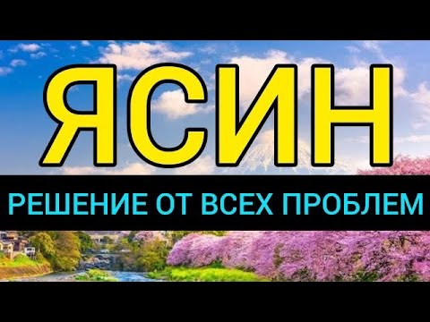 СУРА ЯСИН СЛУШАТЬ КАЖДЫЙ ДЕНЬ!