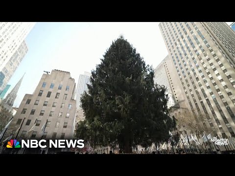 The family behind this year&rsquo;s Rockefeller Center Christmas Tree